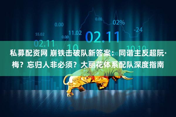 私募配资网 崩铁击破队新答案：同谐主反超阮·梅？忘归人非必须？大丽花体系配队深度指南