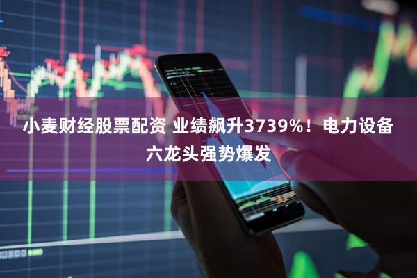 小麦财经股票配资 业绩飙升3739%！电力设备六龙头强势爆发