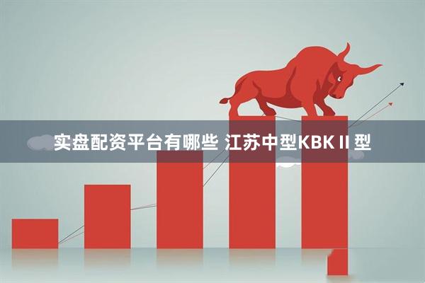 实盘配资平台有哪些 江苏中型KBKⅡ型