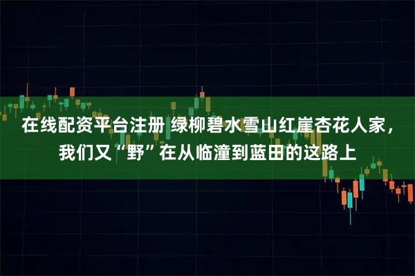 在线配资平台注册 绿柳碧水雪山红崖杏花人家,我们又“野”在从临潼到蓝田的这路上